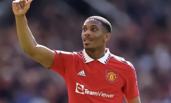 这正是扬科 这正是扬科